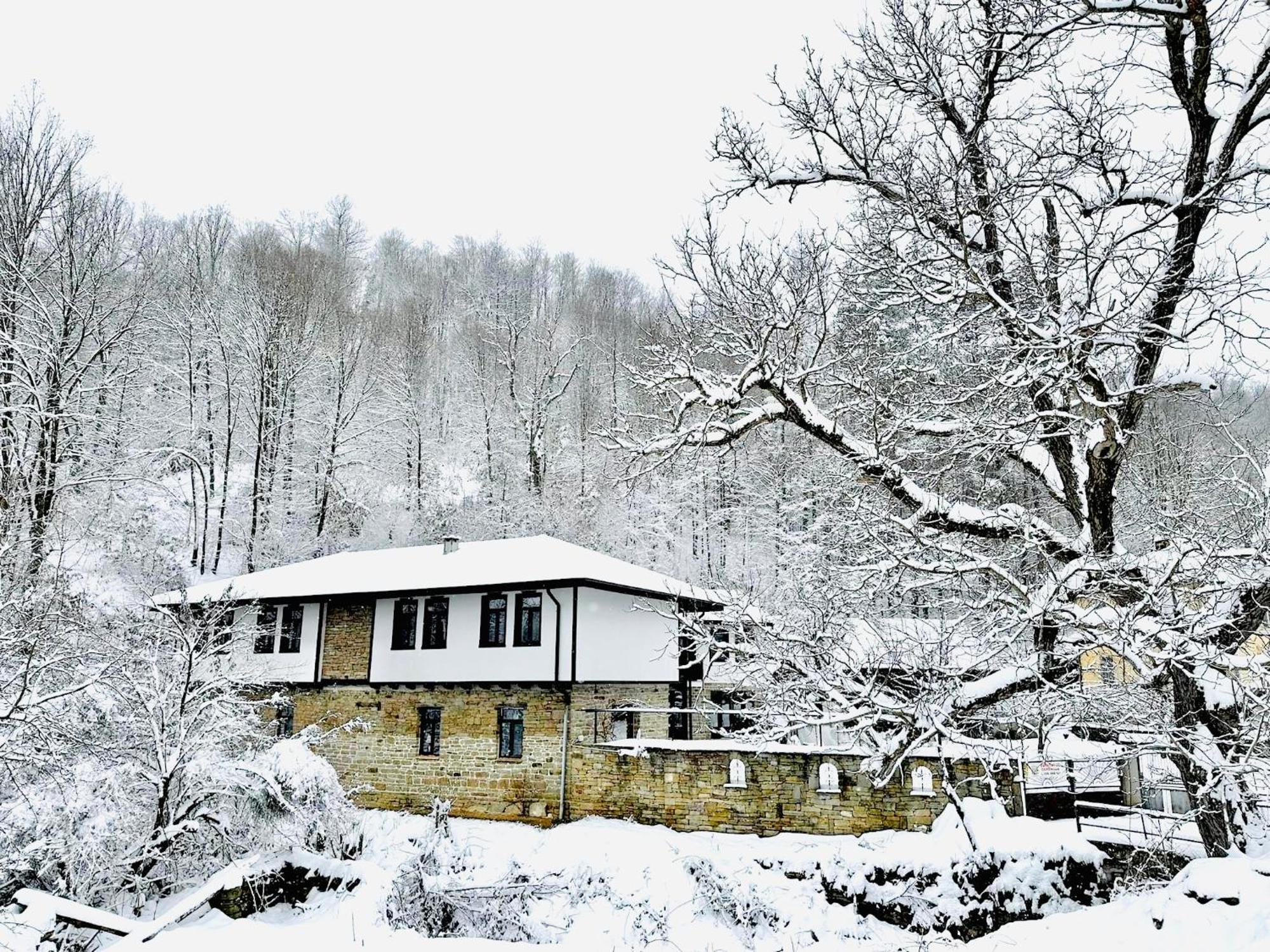 Verta House Trjavna Buitenkant foto